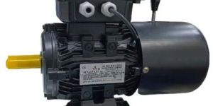 3 Phase Induction Brake Motor