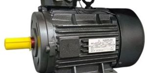Induction Electric Motor