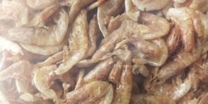 Sun Dried Shrimp