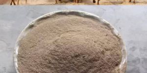 Cow Dung Powder