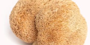 Dried Lions Mane Mushroom