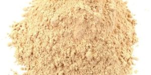 Lion's Mane Mushroom Powder