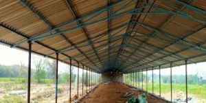 Poultry Sheds