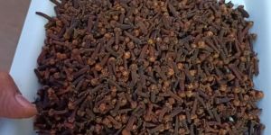 Dry Cloves