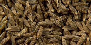 Cumin Seed