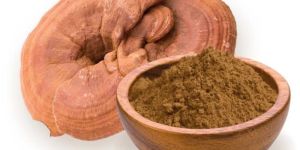 Dry Ganoderma Mushroom Powder