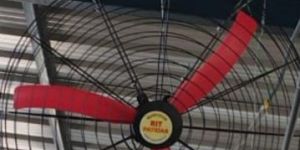 Basket Fan 36