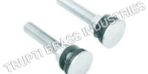 Brass Wall Mounting Screws