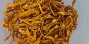 Cordyceps Militaris Mushroom