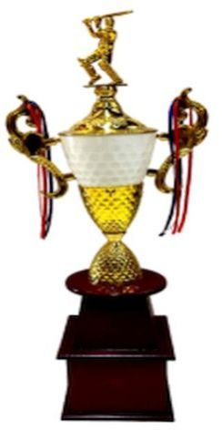 PC-183 White and Golden Plastic Cup Trophy