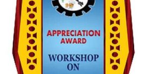 W-842 Customized Wooden Trophy