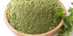 Dried Coriander Leaves Powder