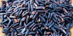 Black Rice Seeds