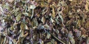 Dried Tulsi Leaves