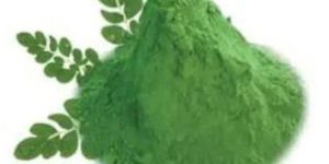 Moringa Leaves Powder