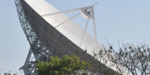 Government Liasioning Service