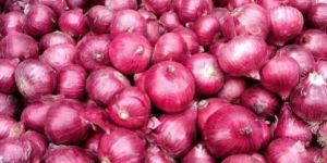 Fresh Red Onion