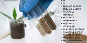 Soil Test Analysis