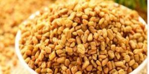 Fenugreek Seed