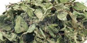 Dehydrated Mint Leaves
