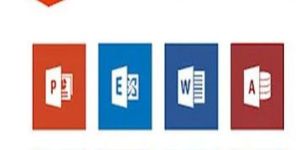Microsoft Office 365 Software