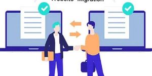 Website Migration Services