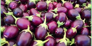 Fresh Purple Brinjal