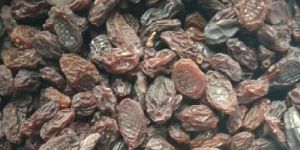 Sun Dried Brown Raisins