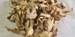 Sun Dried Ginger