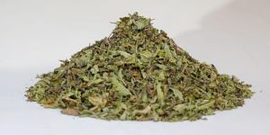 Sun Dried Mint Leaves