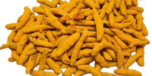 Turmeric