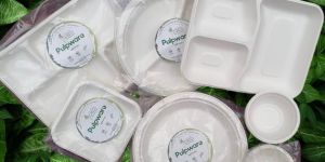 Biodegradable Sugarcane Bagasse Dinner Set