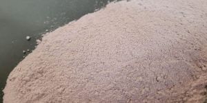 Dehydrated Onion Powder