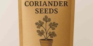 Coriender Seeds