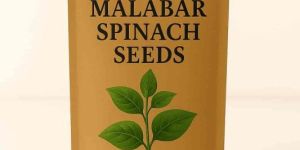 Malabar Spinach Seeds
