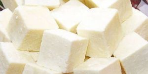 Fresh Malai Paneer