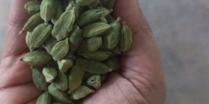 Green Cardamom