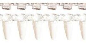 White 0.1 Ml 8 Strip Tubes