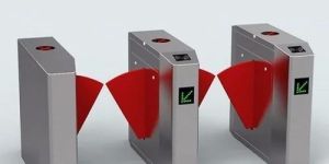 Double Lane Flap Barrier