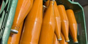 Fresh Alphonso Mango Pulp