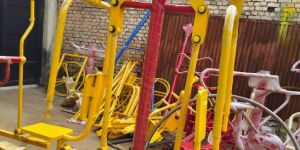 Outdoor Double Chest Press