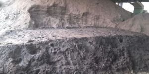 Bio Organic Fertilizer