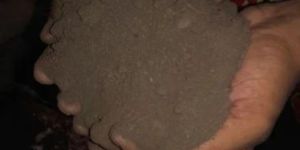 Bio NPK Organic Fertilizer