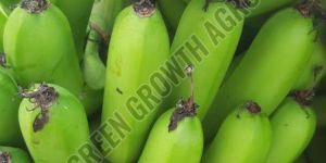 a Grade Robusta Banana