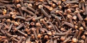 Cloves