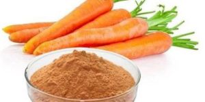 Dehydrated Carrot Powder