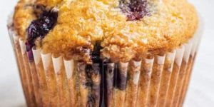 Blueberry Muffin