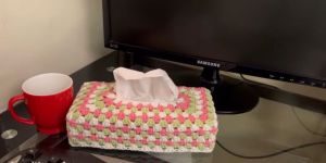 Crochet Tissue Holder