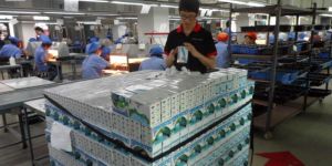 during Production Inspection