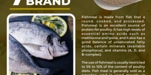 FISH MEAL ( 7 STAR BRAND )